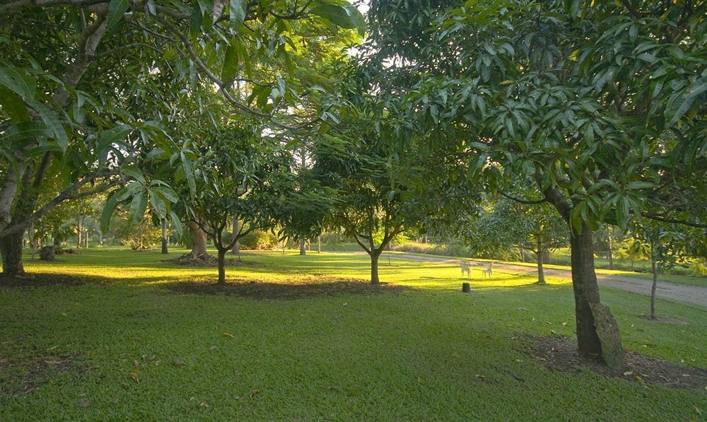 Lagoon Pocket Bed & Breakfast Bagian luar foto