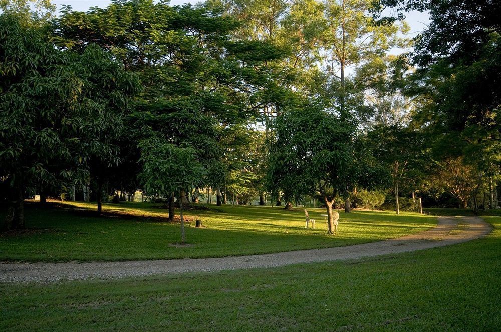 Lagoon Pocket Bed & Breakfast Bagian luar foto